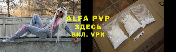 a pvp Ельня