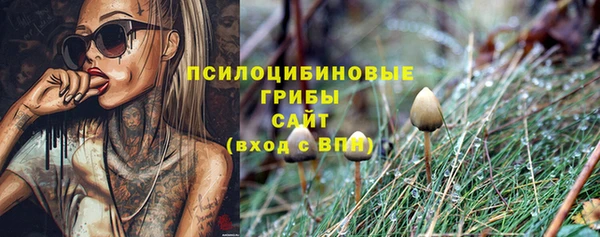 jwh Белокуриха