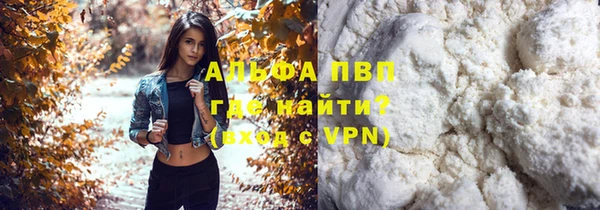 гашик Баксан