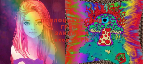гашик Баксан