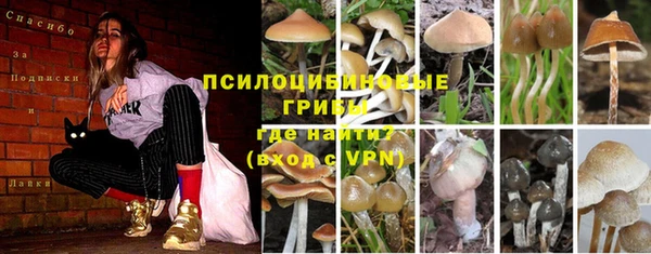 первитин Балахна