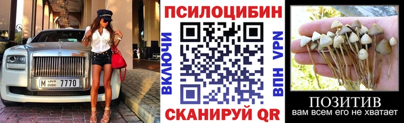 Галлюциногенные грибы прущие грибы  Белокуриха 